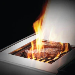 Napoleon Barbecue Gaz Napoléon Rogue SE 625 SIBPSS 5 Brûleurs + 1 Latéral + 1 Arrière -Barbecue Étagères Magasin bbq gaz napoleon rogue rse625 rsibpss inox bruleur arriere 3