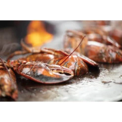 Braséro Plancha OFYR Classic 100 Acier Corten 31 Braséro Plancha OFYR Classic 100 Acier Corten -Barbecue Étagères Magasin brasero plancha ofyr classic 100 100 8