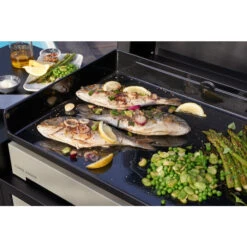 Plancha électrique Forge Adour PREMIUM 60 Acier Noir Et Gris -Barbecue Étagères Magasin cuisson plancha premium 1