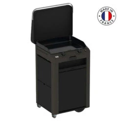 Ensemble Plancha Gaz Eno Fusion 60 Acier Sur Chariot + Capot